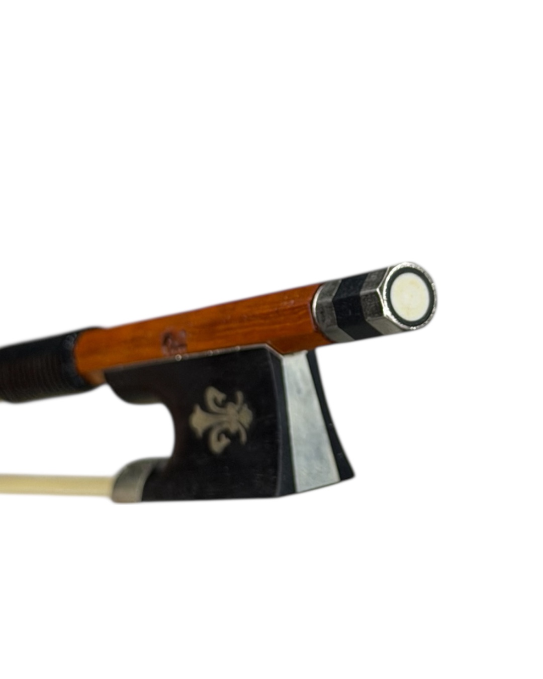 OL-VB700 Pernambuco Body