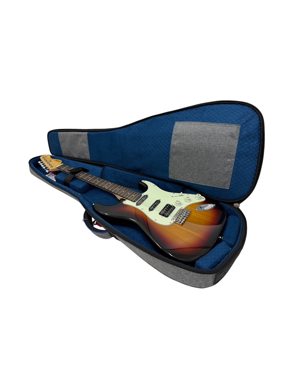 Olive OL-EGT-P Premium Electric Guitar Bag for Travel, 15mm PP Foam Padding, Gig Bag for All Brand Electric Guitar, Water Resistant, Shoulder Straps